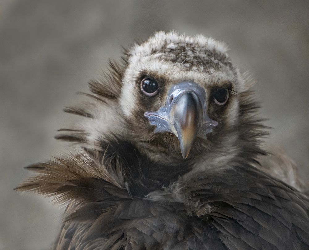 Photograph by Юрий Чернов