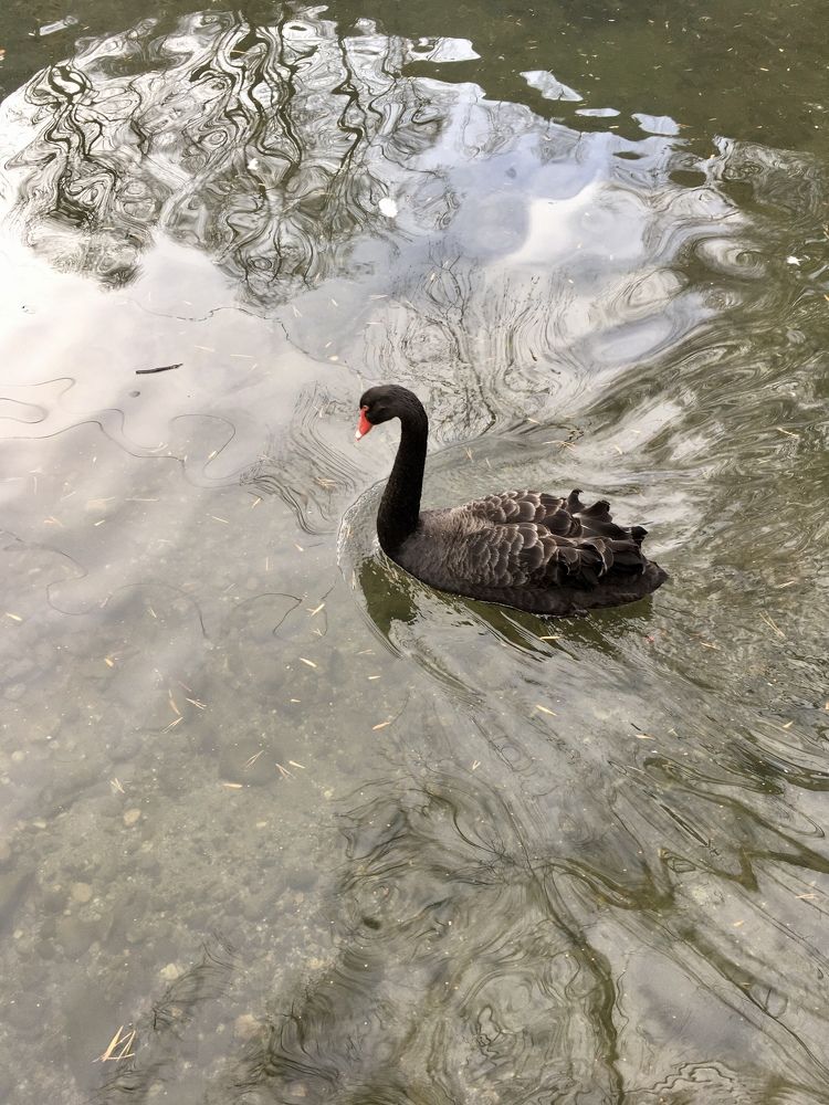 Фотография автора Ксения