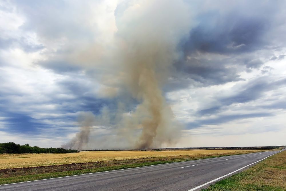 Фотография автора  Галина