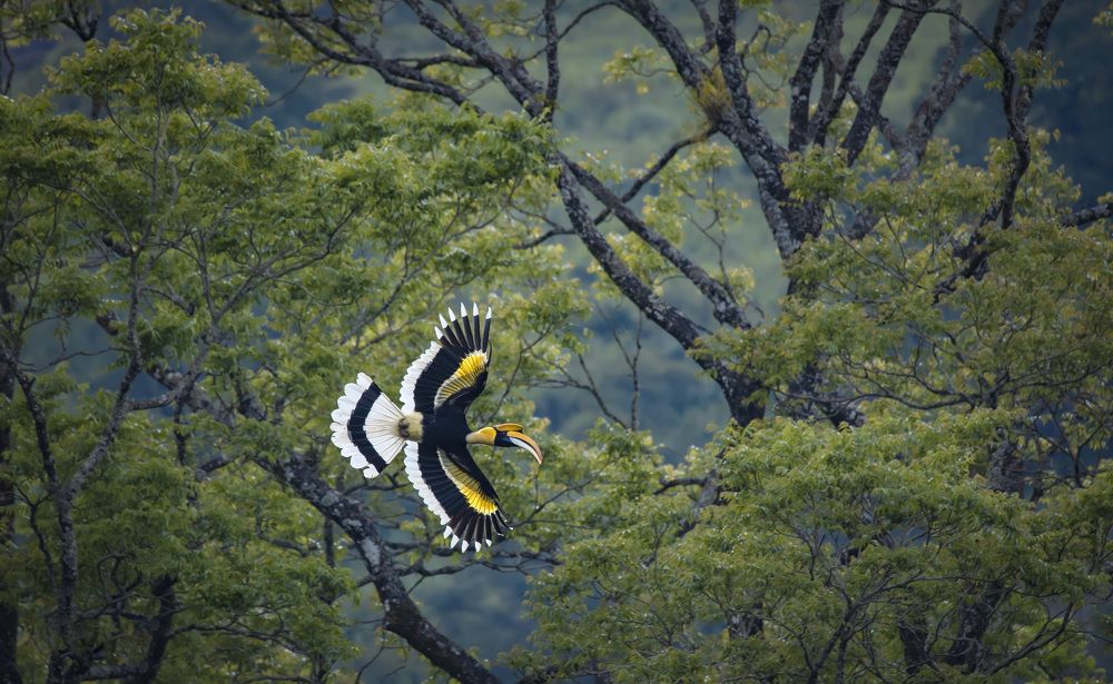 Photograph by k Ravi Reju