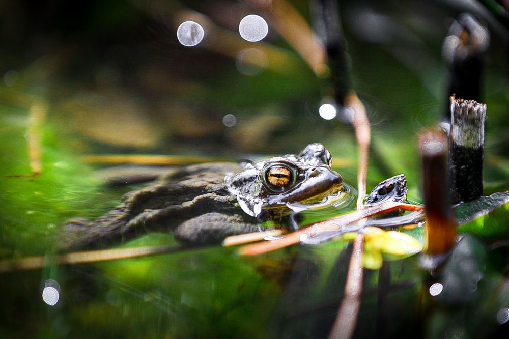 Photograph by Ирина Подгорная