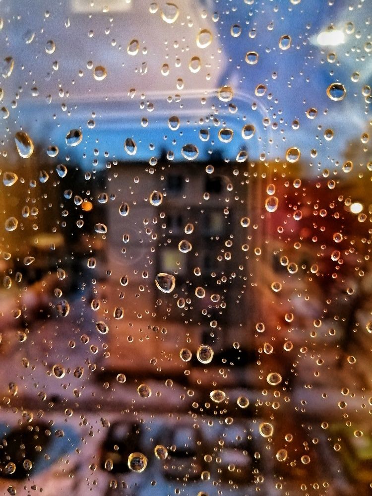 Фотография автора Мила Раткина