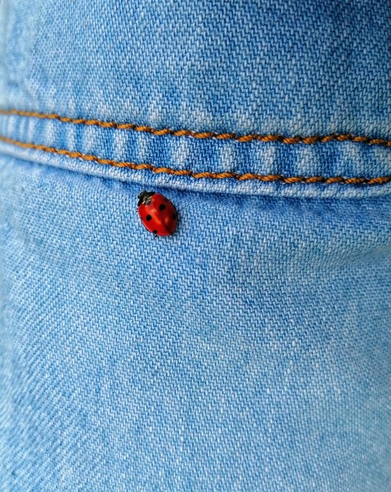 Фотография автора Мила Раткина