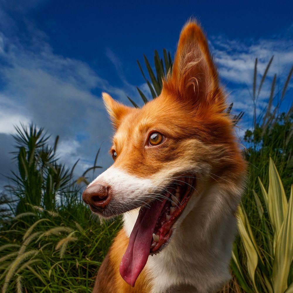 Photograph by Anton Tsentalovich