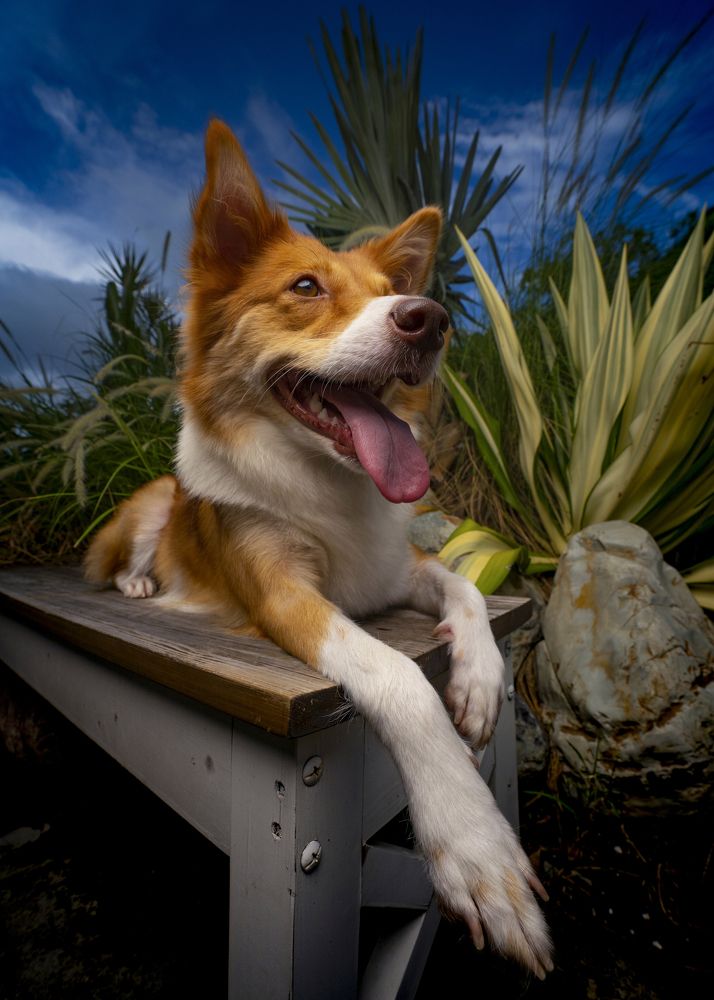 Photograph by Anton Tsentalovich