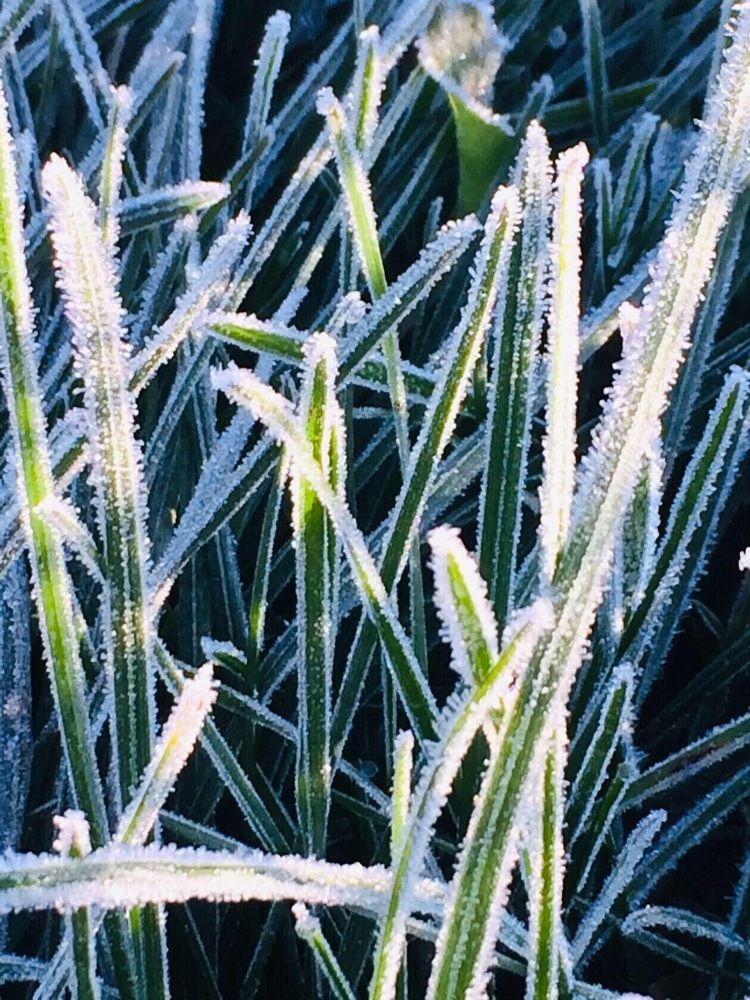 Photograph by Антонина