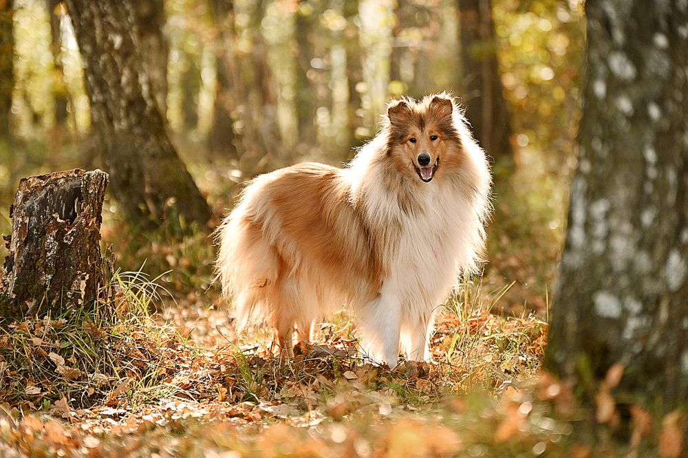 Photograph by Милана Бабченко