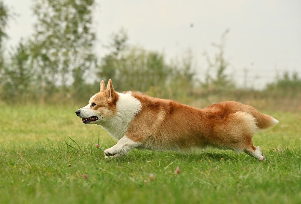 Photograph by Милана Бабченко