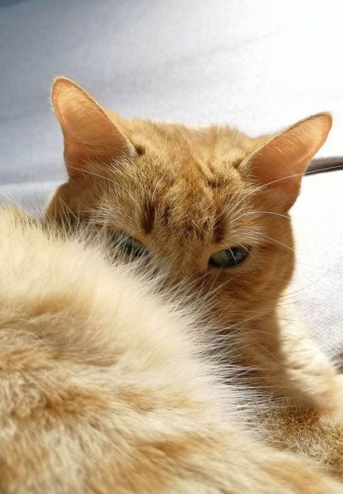 Photograph by Елена Швецова