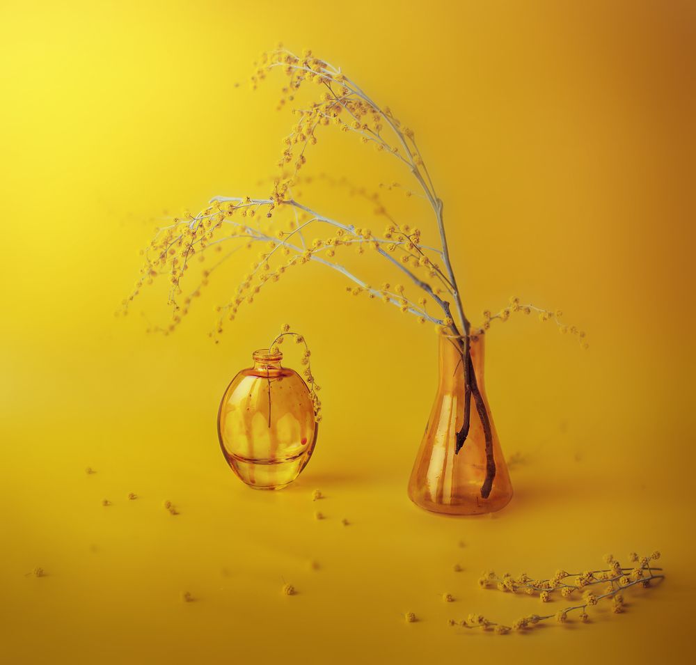 Photograph by Svoboda Andreeva