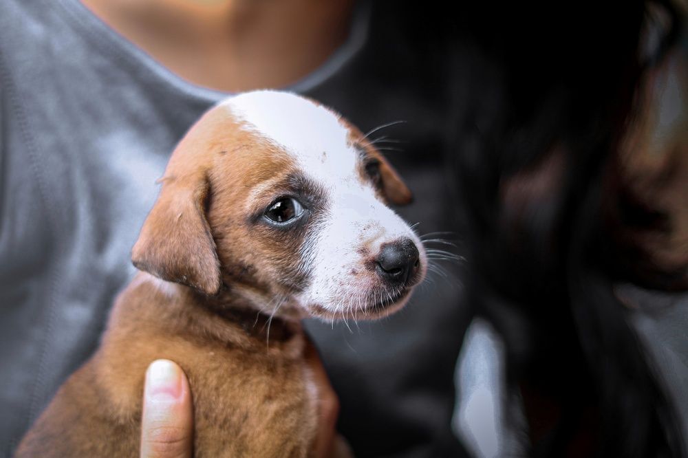 Photograph by Sagnik Bhattacharjee