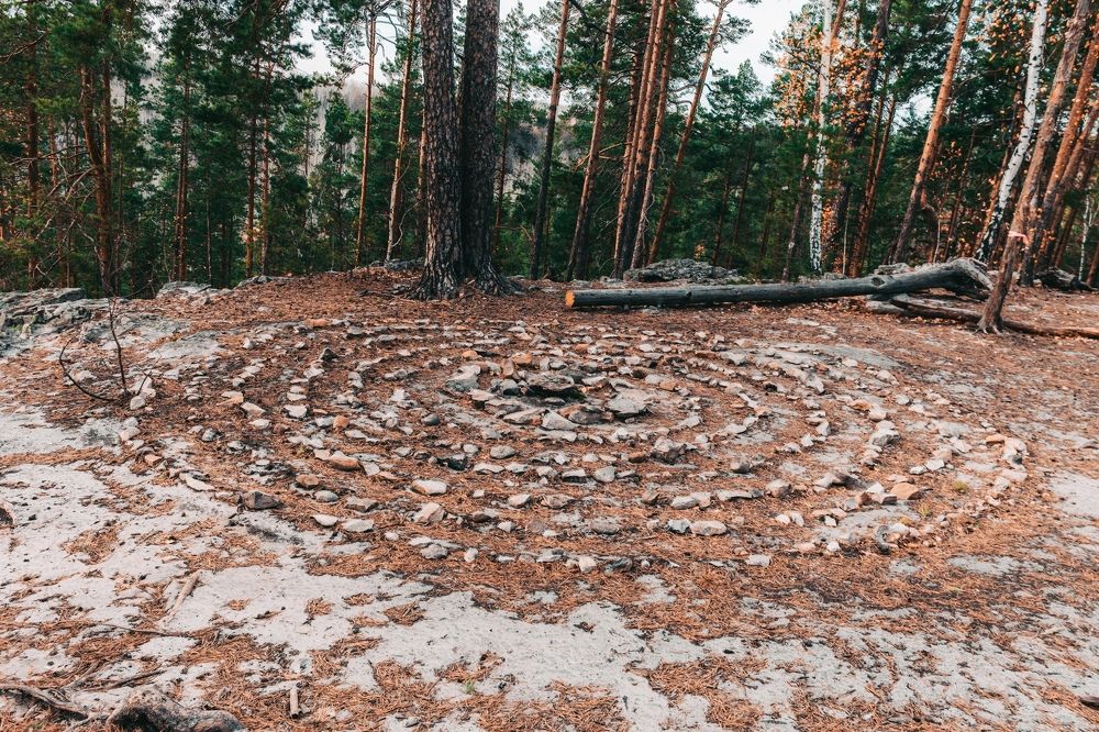 Photograph by Дарья