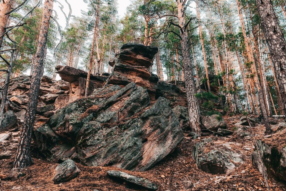 Photograph by Дарья