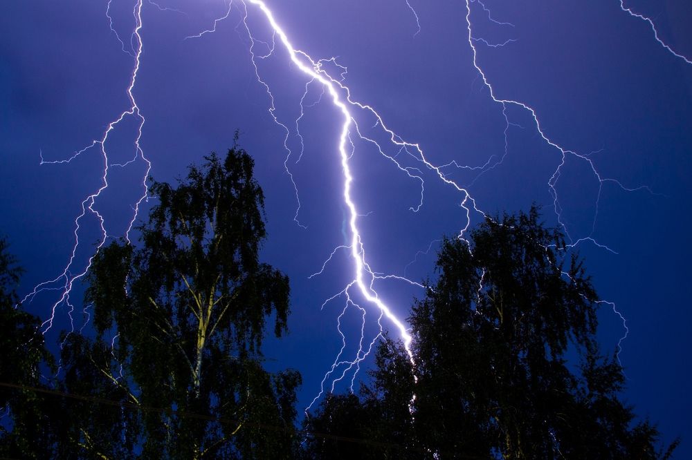 Photograph by Дарья