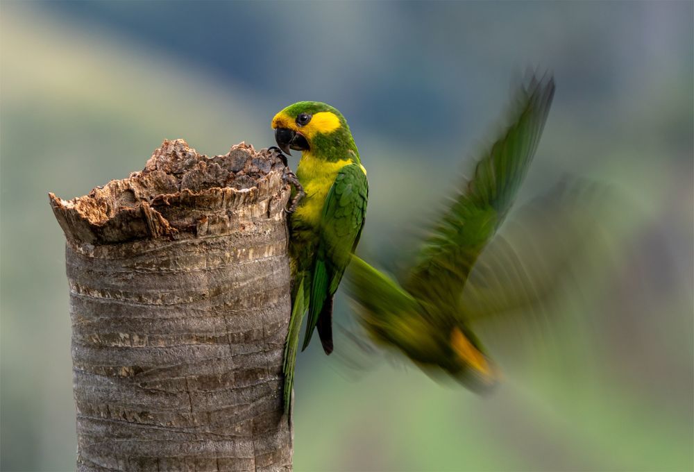 Photograph by Paulo Andrés Garcia