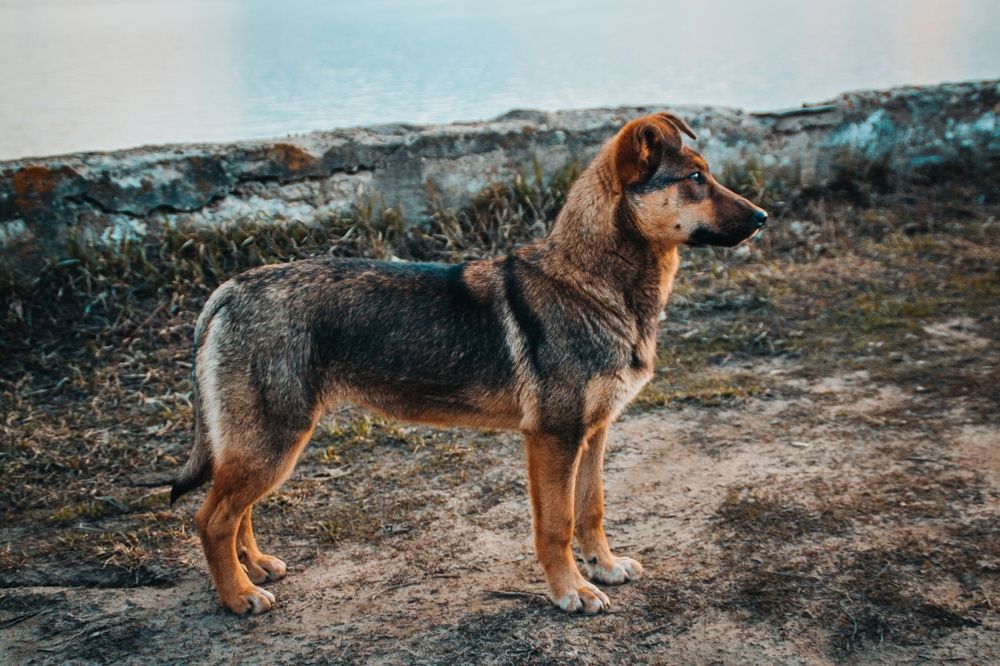 Photograph by Дарья