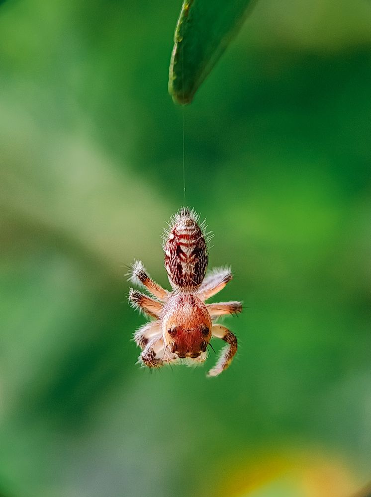 Photograph by Arijit Khan
