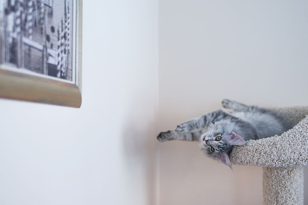 Photograph by Екатерина Золотых