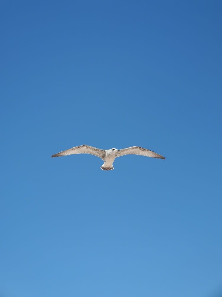 Photograph by Mihail