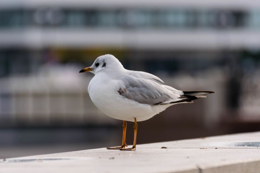 Photograph by Наталья Вялых