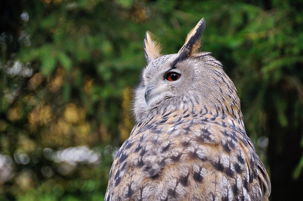 Photograph by Михаил Кинеев