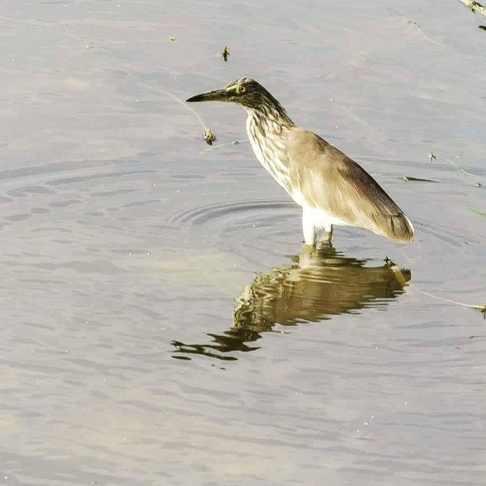 Photograph by Diwakaran D