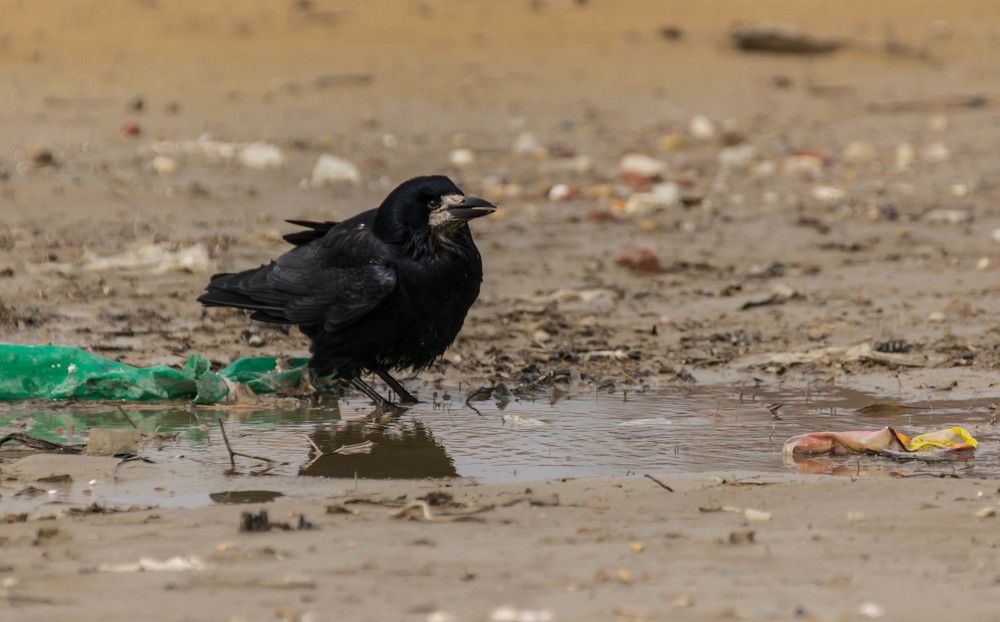 Photograph by Наталья Вялых