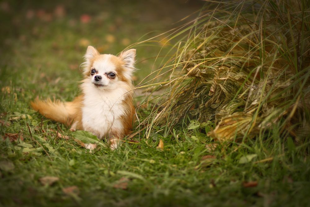 Photograph by Юлия Ларионова