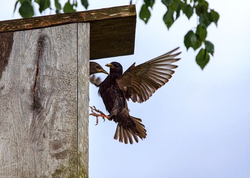 Photograph by Татьяна Шандромайло