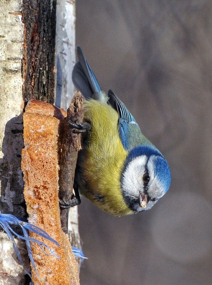 Photograph by Сергей