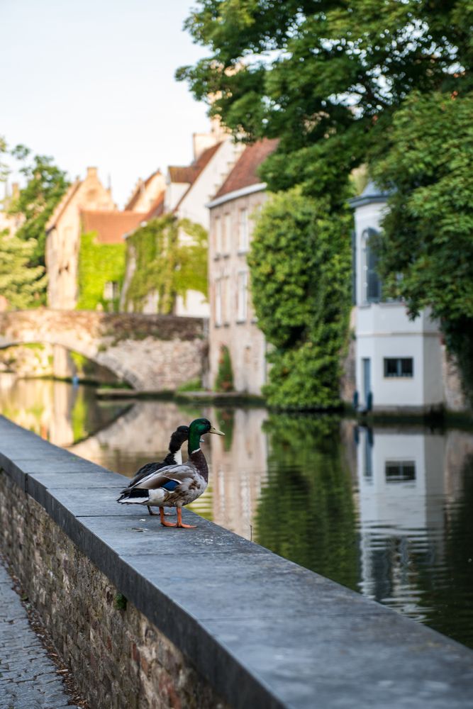 Photograph by Евгений Моляшов