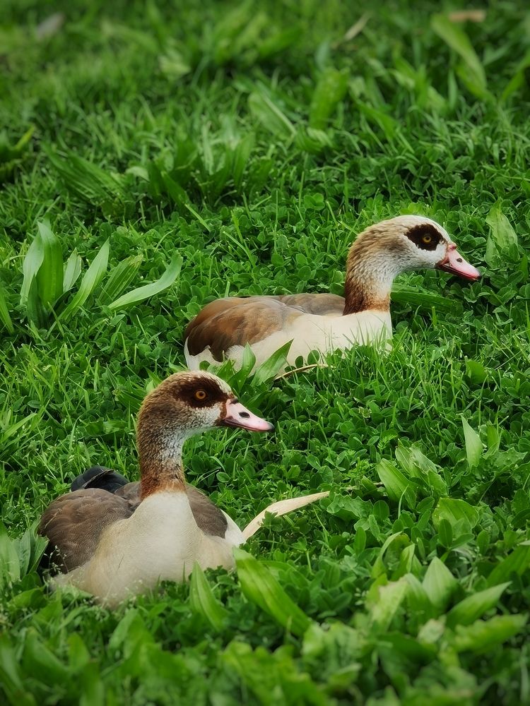 Photograph by Ксения Трошина(Лившиц)