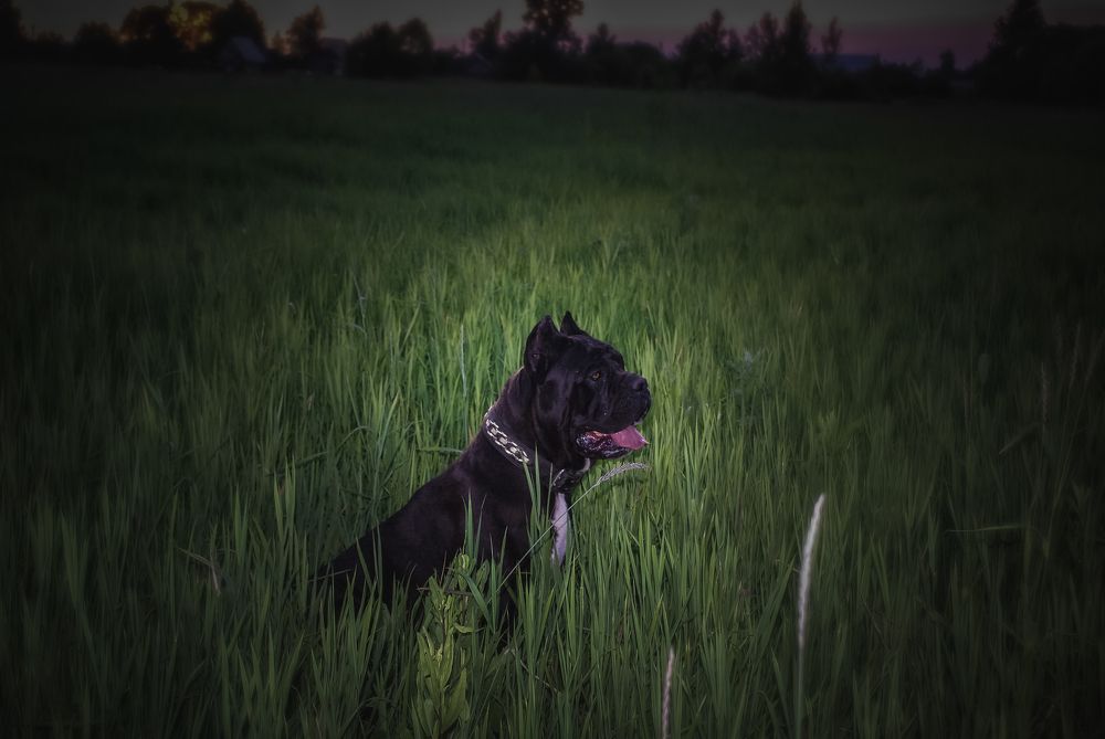 Photograph by Мария Колоскова