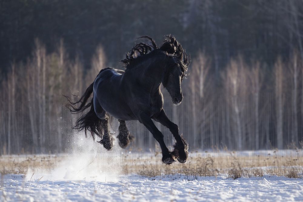 Фотография автора Олеся Евгеньевна