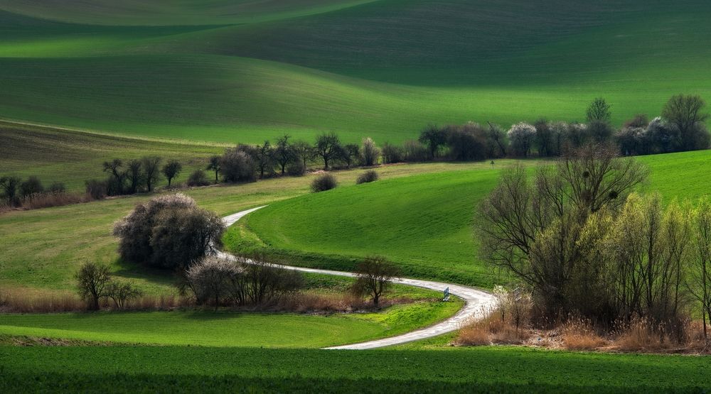 Photograph by Milan Uhrin