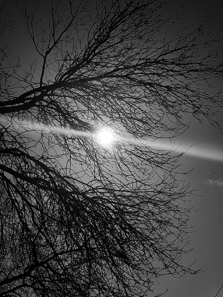 Photograph by Евгения Ульянова