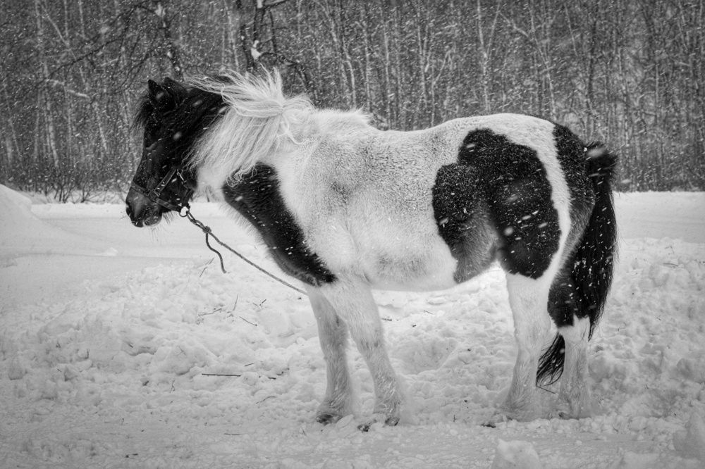 Photograph by Инна Карасева