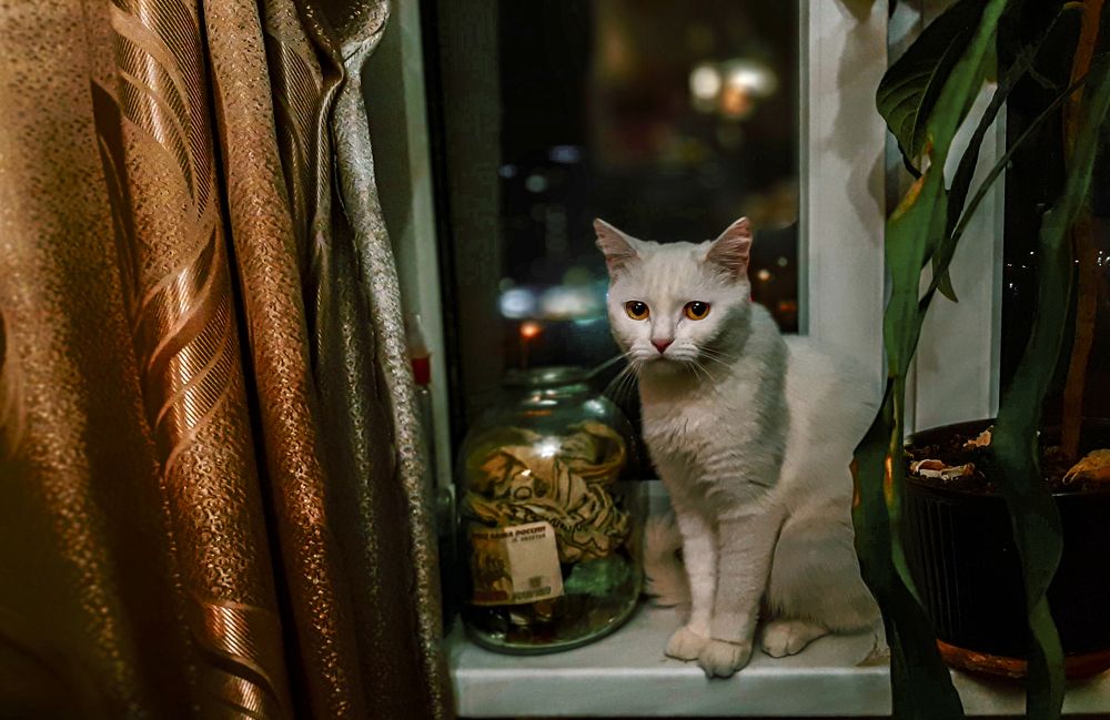 Фотография автора Дмитрий Нефёдов