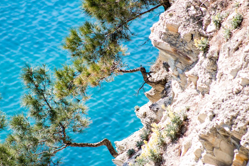 Photograph by Светлана Катанцева