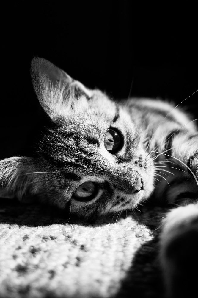 Photograph by Анна Изюмская