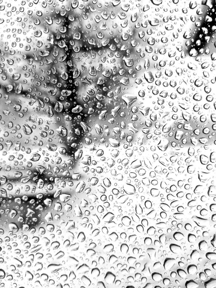 Photograph by Мария Опритова