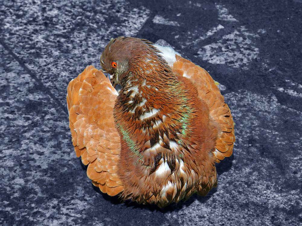 Photograph by Константин Мишнаевский