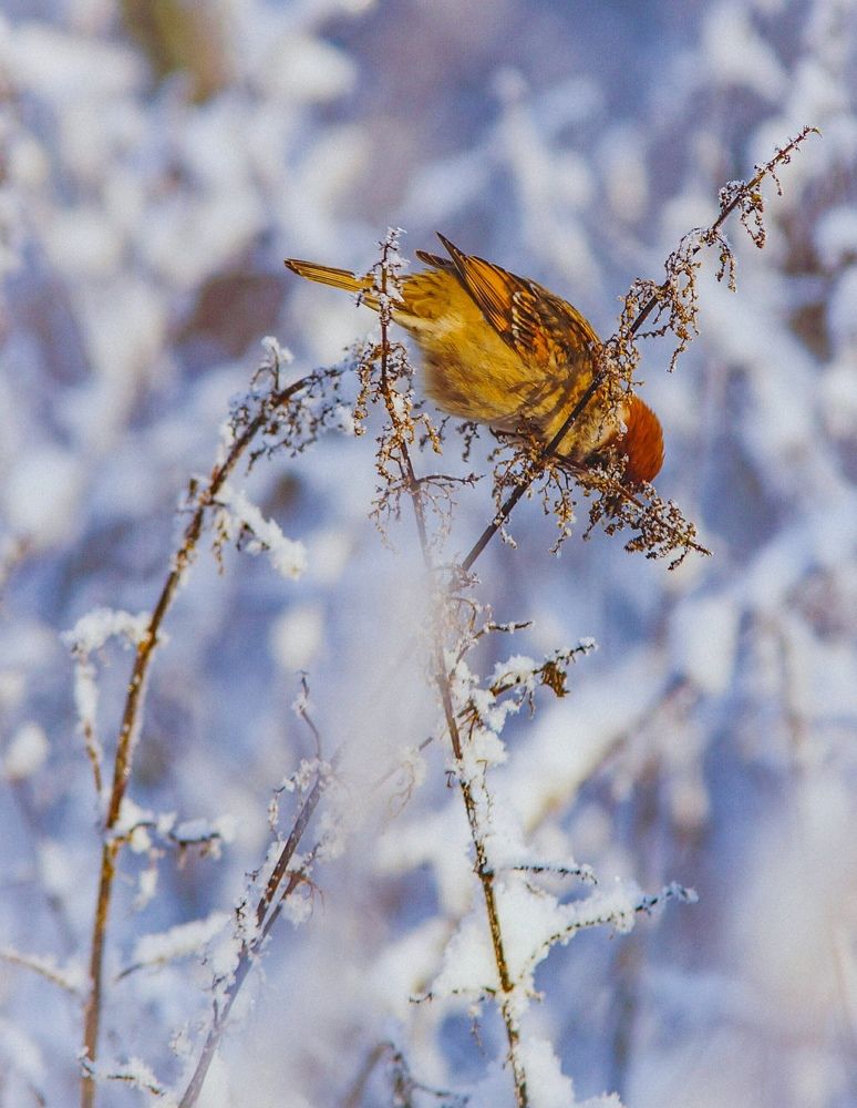 Photograph by Татьяна Шандромайло