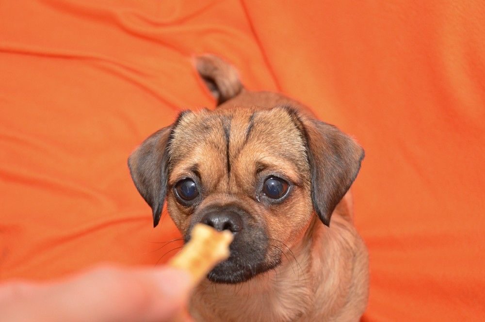 Photograph by Ольга Шевцова