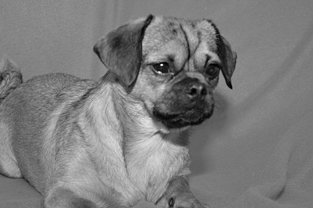 Photograph by Ольга Шевцова