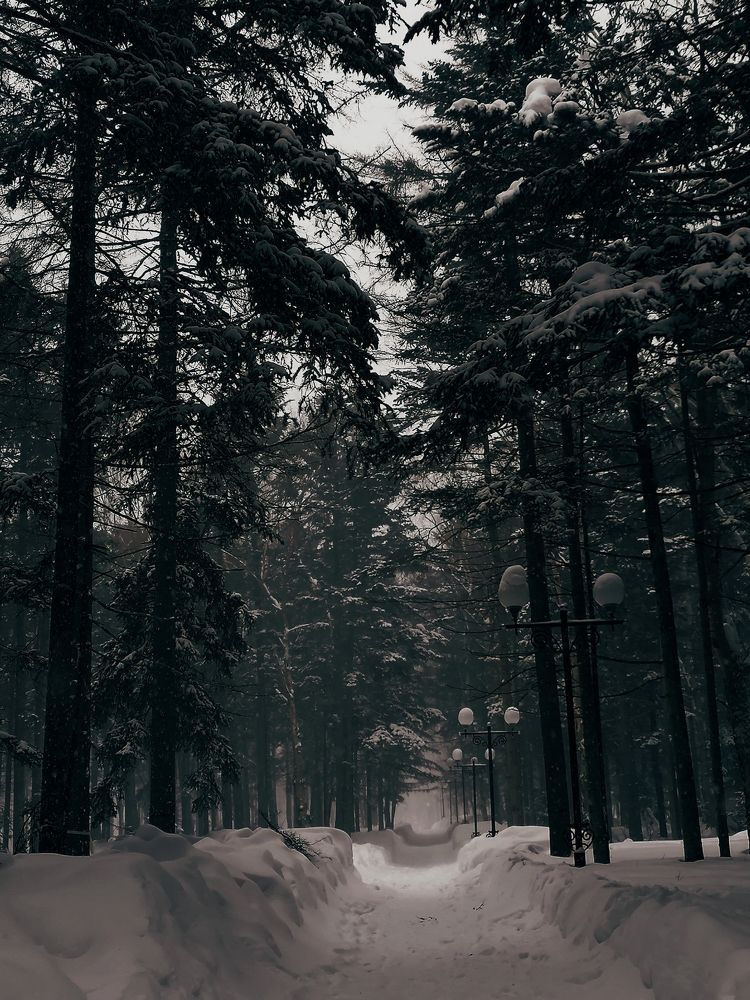 Photograph by Анна Сидоренко