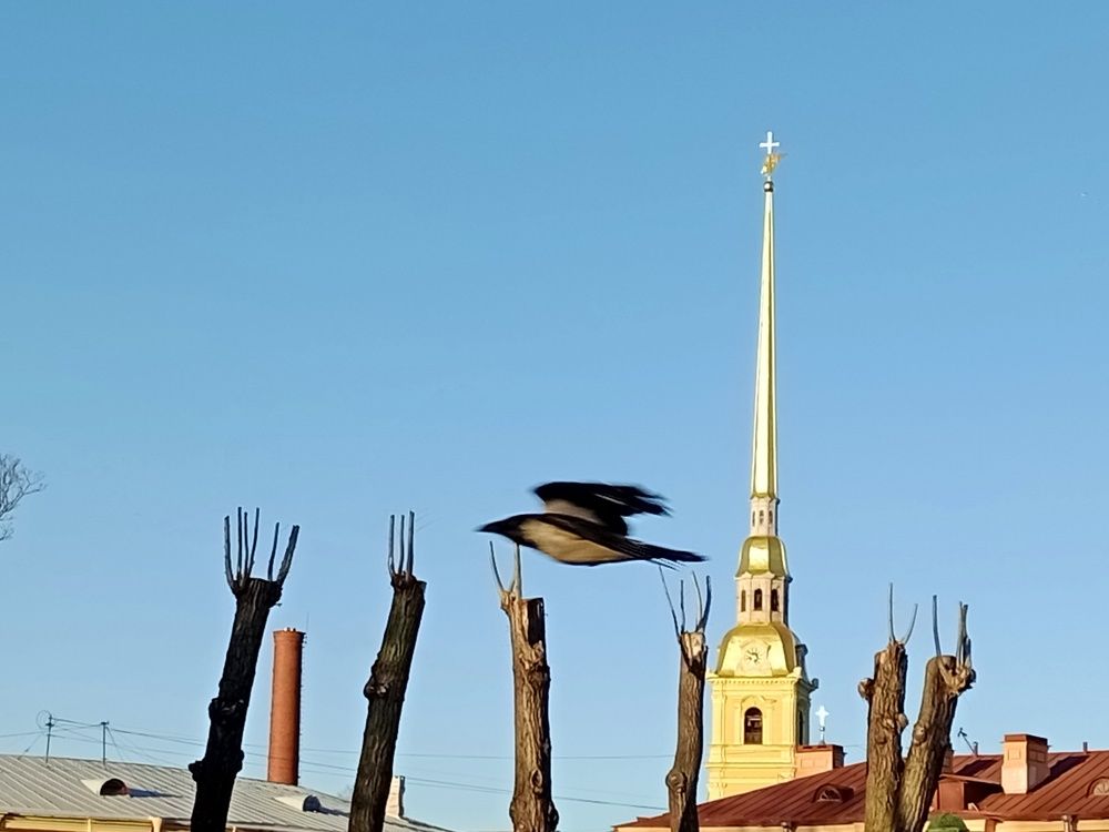 Photograph by Людмила Викулова