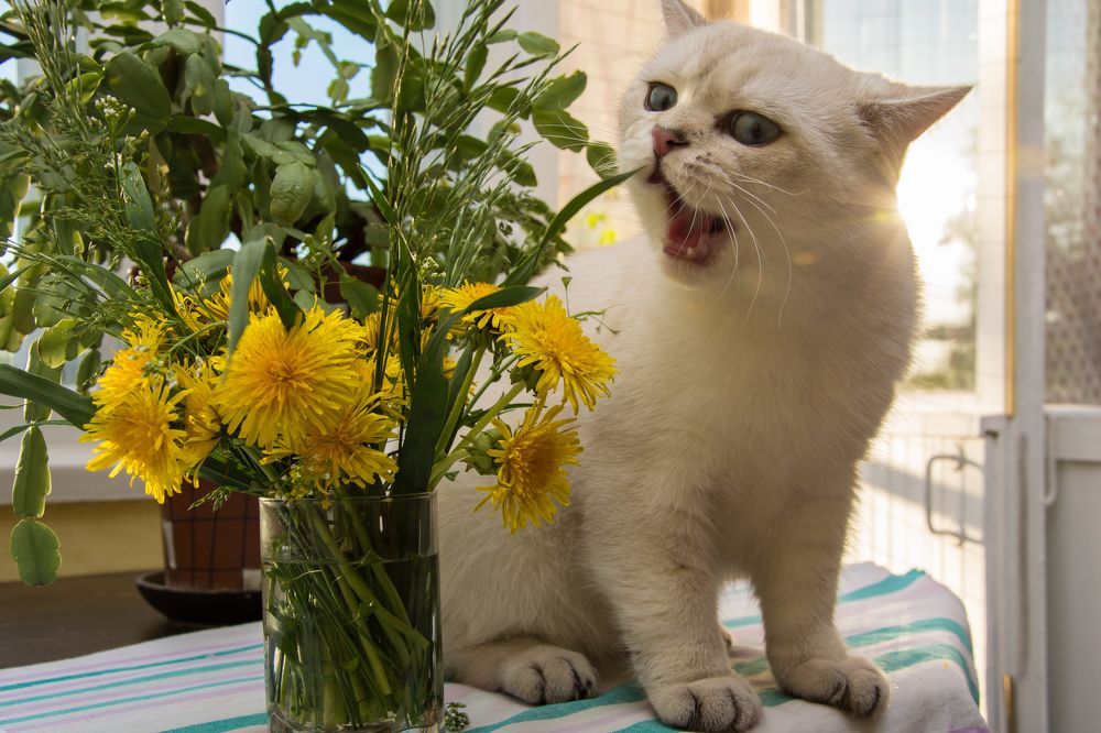 Photograph by Света Назарова