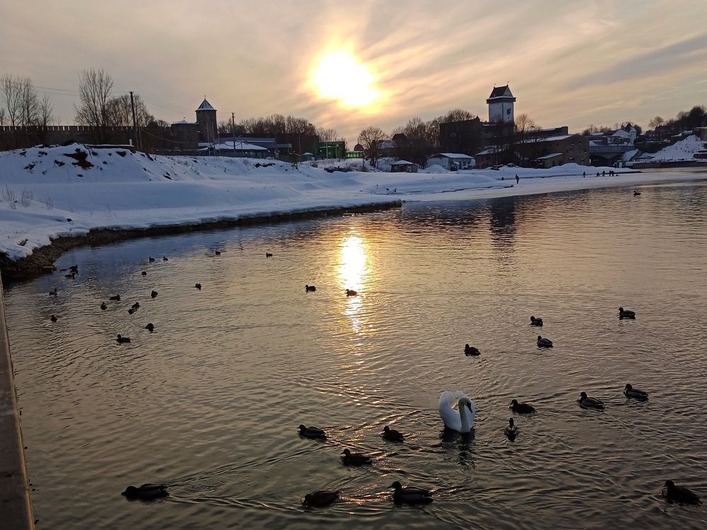 Photograph by Людмила Викулова