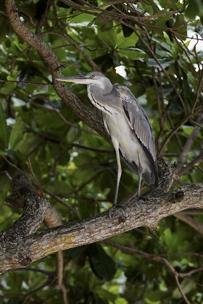 Photograph by Елена Ковалева